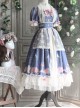 The Poetry Of Roses Series Elegant Classic Lolita Short Sleeves Long Dress