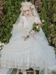 Flower Fairies Series OP Tea Party Design Classic Lolita Gorgeous Dress