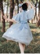 Iris Flower Series OP Butterfly Sleeve Embroidery Blue Classic Lolita Short Sleeve Dress