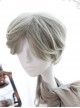 Handsome Half-long Hair Prince Lolita Gradient Wigs