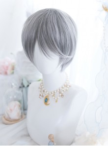 Frost Gray Mixed Short Hair Classic Prince Lolita Wigs