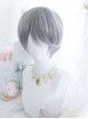 Frost Gray Mixed Short Hair Classic Prince Lolita Wigs