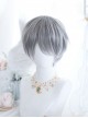 Frost Gray Mixed Short Hair Classic Prince Lolita Wigs