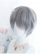 Frost Gray Mixed Short Hair Classic Prince Lolita Wigs