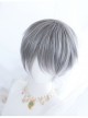 Frost Gray Mixed Short Hair Classic Prince Lolita Wigs