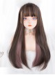 Multicolour Optional Hidden Highlights Long Straight Wig Daily Lolita Wigs