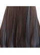 Multicolour Optional Hidden Highlights Long Straight Wig Daily Lolita Wigs