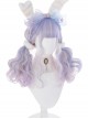 Pink Purple Gradient Silver Elegant Long Curly Sweet Lolita Wigs