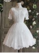 The Poetry Of Roses Series White Daily Lace Yarn Skirt Embroidered Classic Lolita Short Petticoat