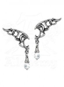 Punk Baroque Eternal Wings Crystal Earrings