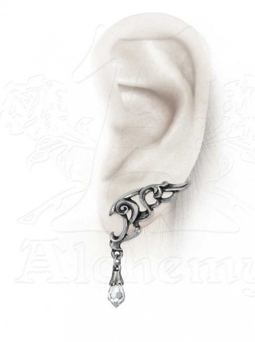 Punk Baroque Eternal Wings Crystal Earrings