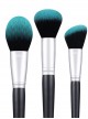 10 Blackish Green Makeup Brushes And A Firefly Brush Bag Set