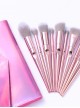 10 Pink Electroplating Handle Makeup Brushes And The Brush Bag Set