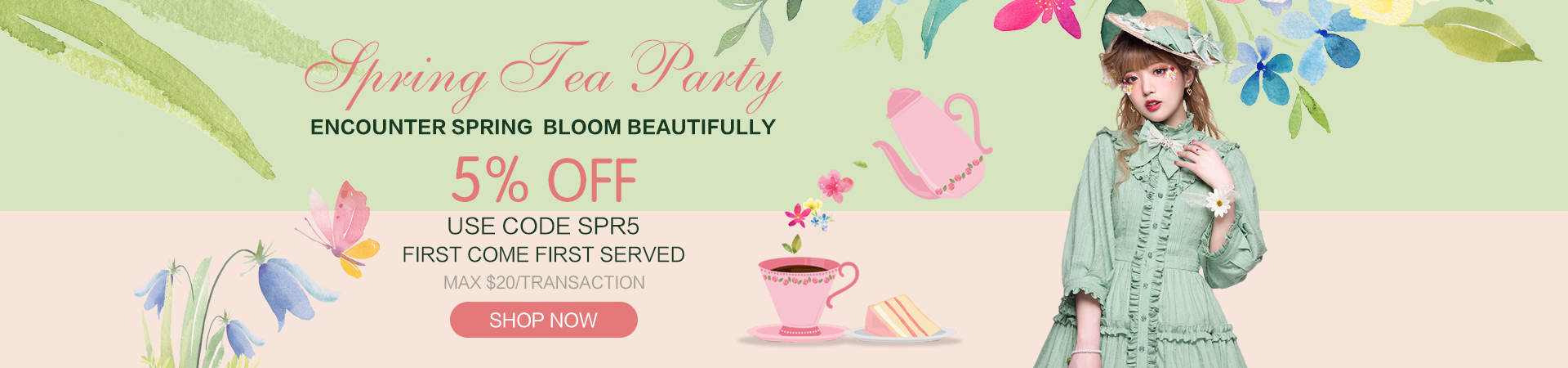 Spring Special Offer